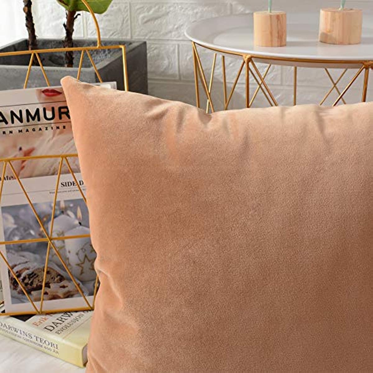 Anhome 2-piece, velvet soft trim square throw pillowcase, cushion cover, pillow cover, home décor sofa sofa chair 20x20 inches / 50x50 cm (light brown)
