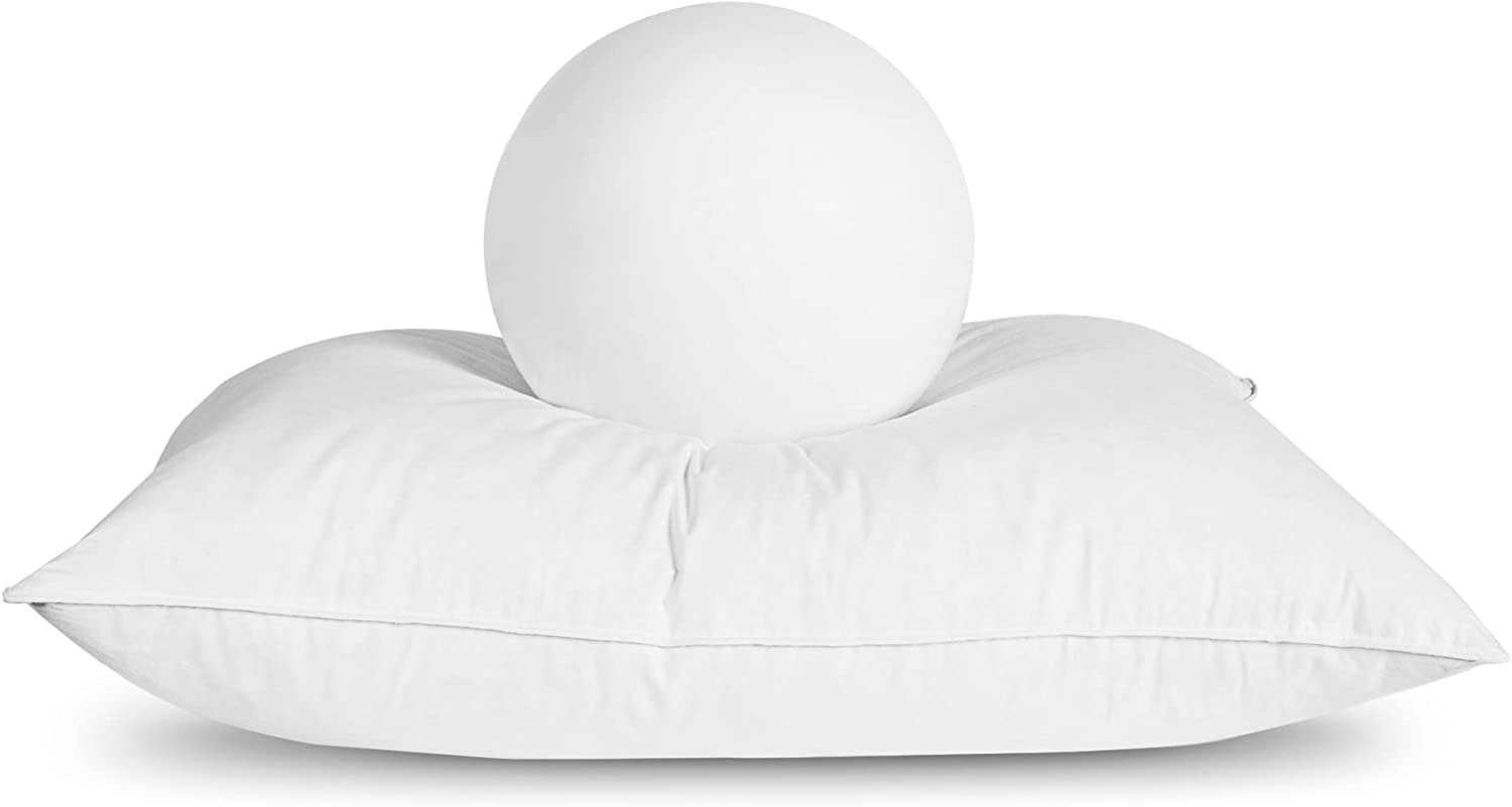 ANHOME Feather and down pillow, skin-friendly bed pillow 2-pack standard/medium double (50.80 cm x 71.12 cm)